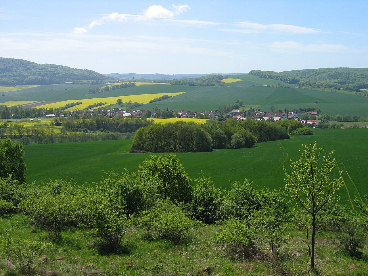 Eichsfeld