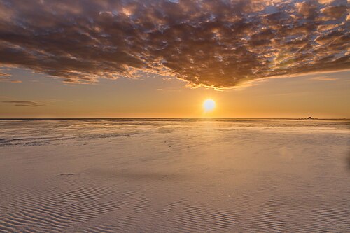 Amrum