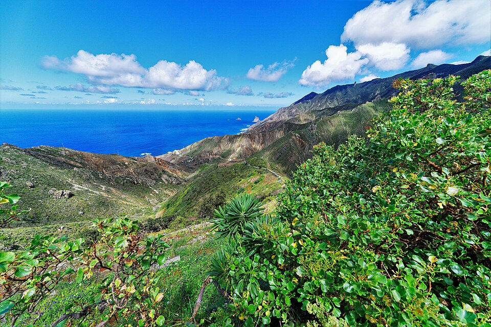 auf La Palma