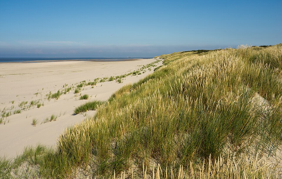 Wangerooge