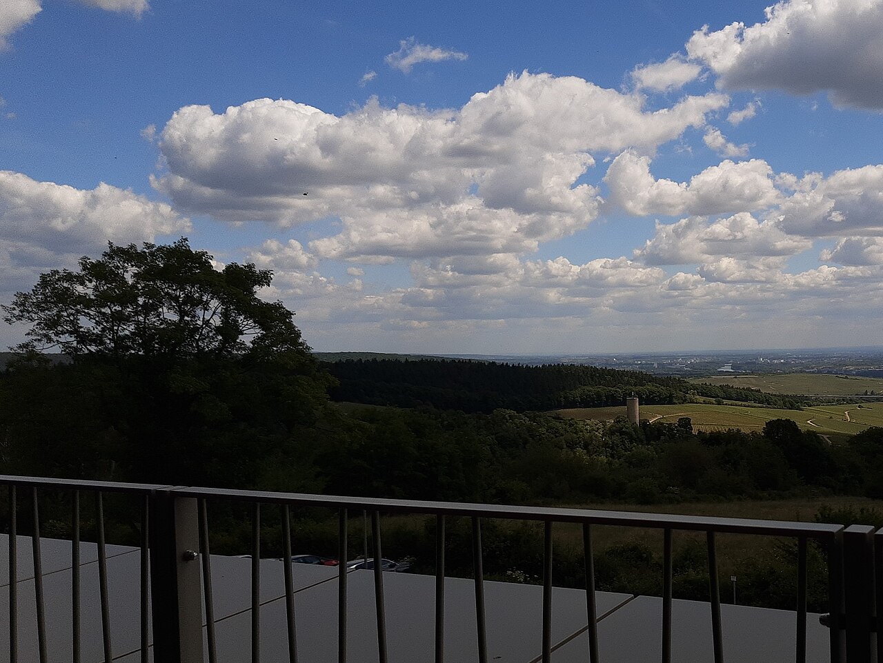 Rheingau