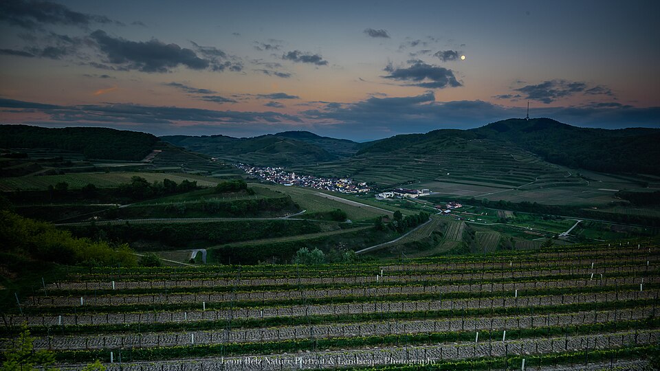 Evening