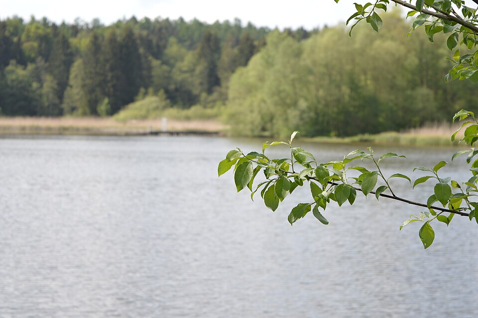 Hammerweiher