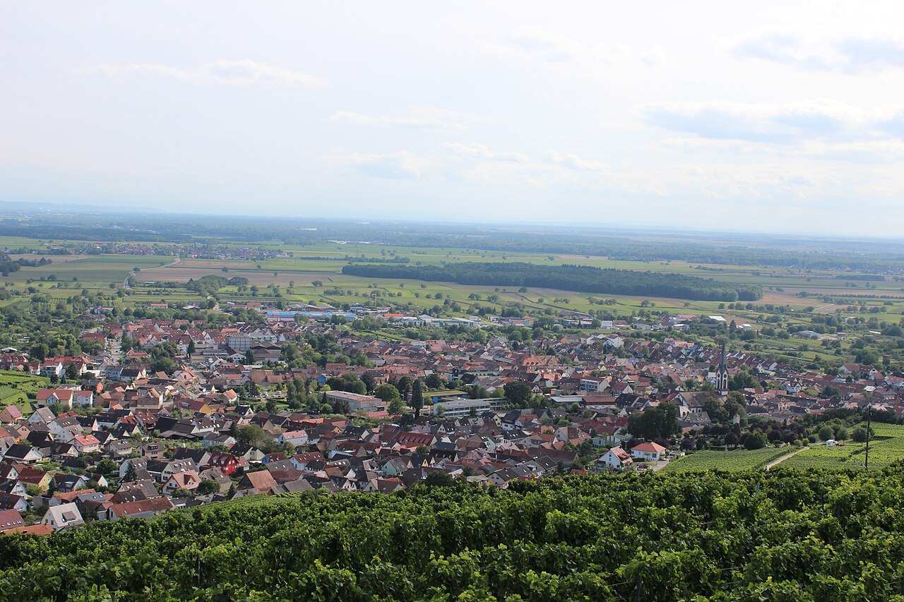 Ihringen Panorama
