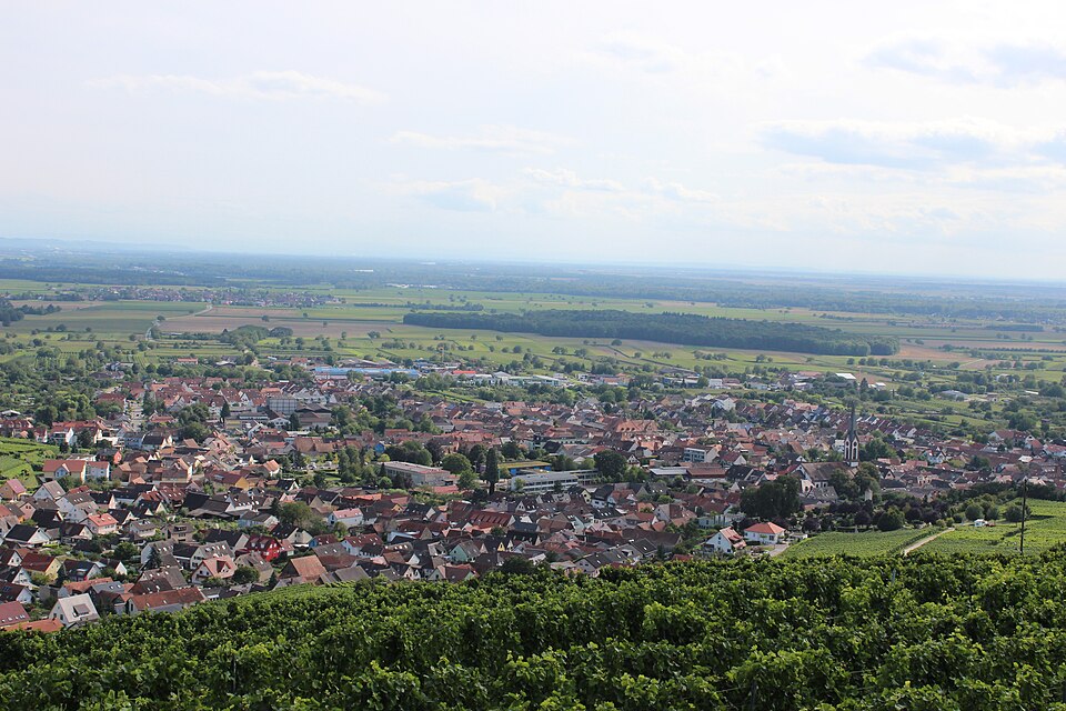 Ihringen Panorama