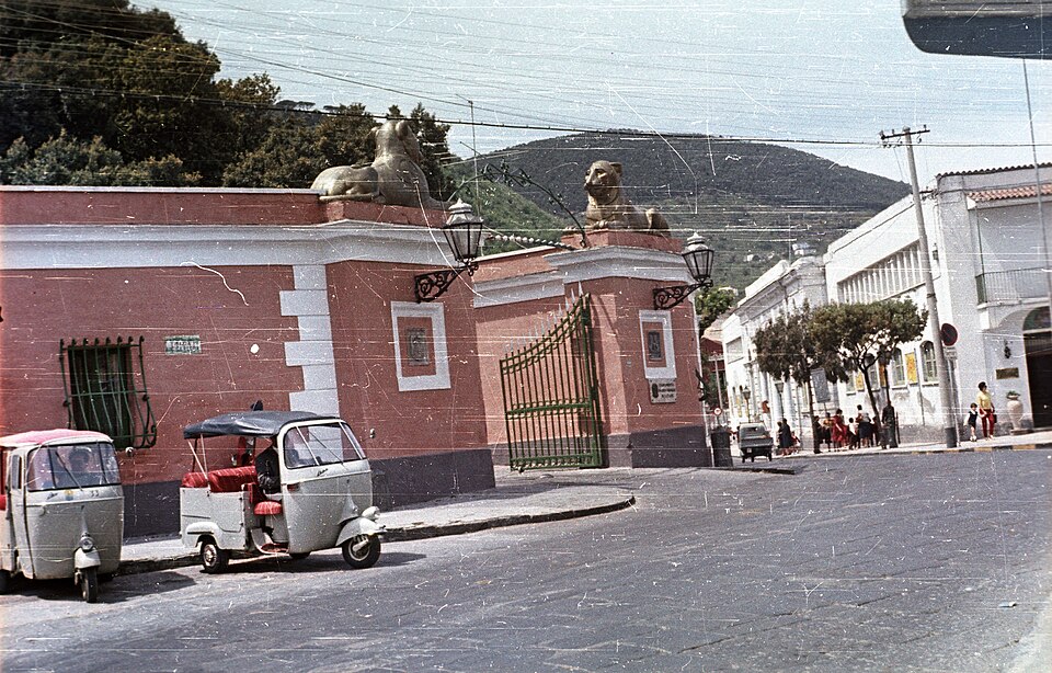 auf Ischia