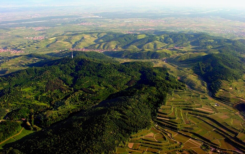 Wiki Kaiserstuhl