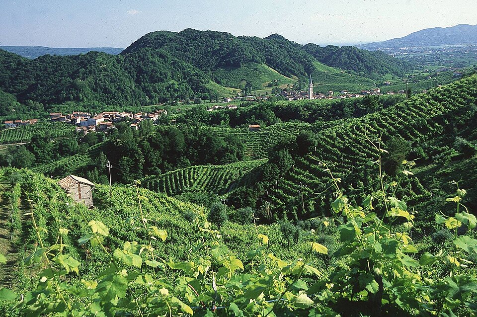 Prosecco Valley