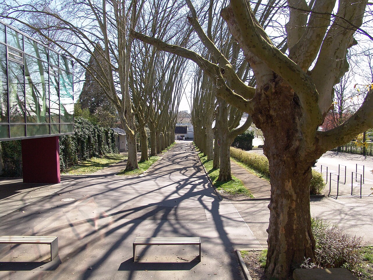 Allee am Stadttheater Lahr