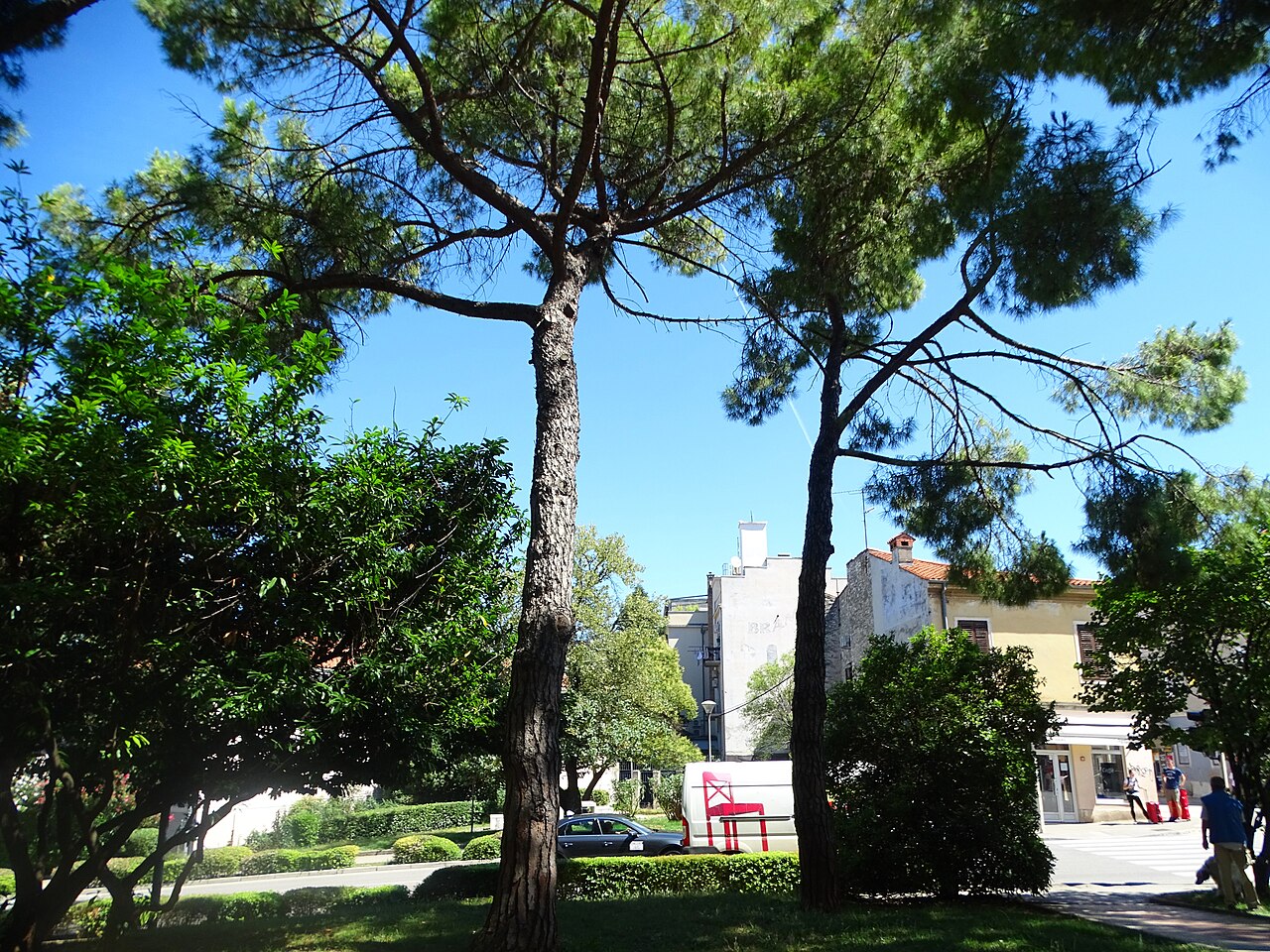 Pula