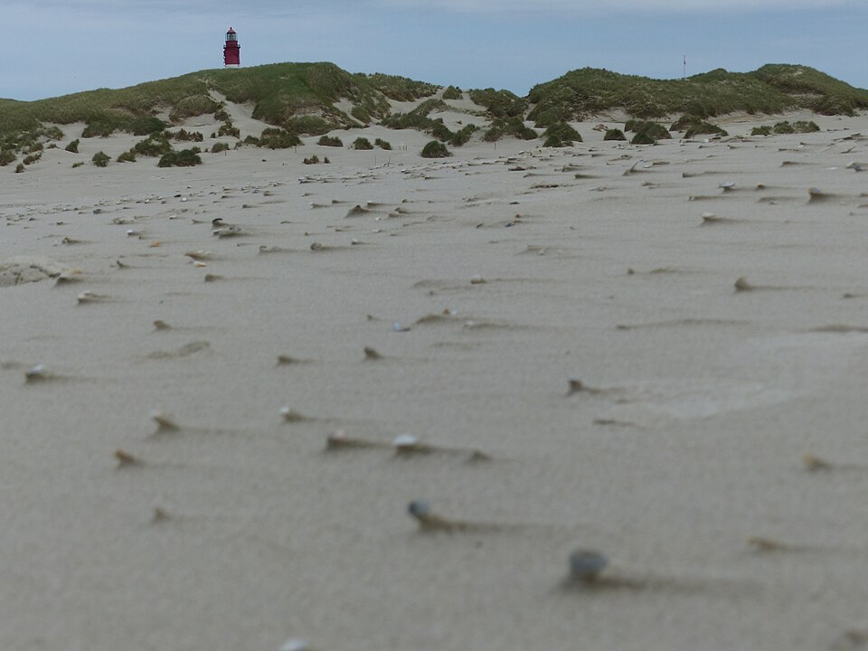 auf Amrum