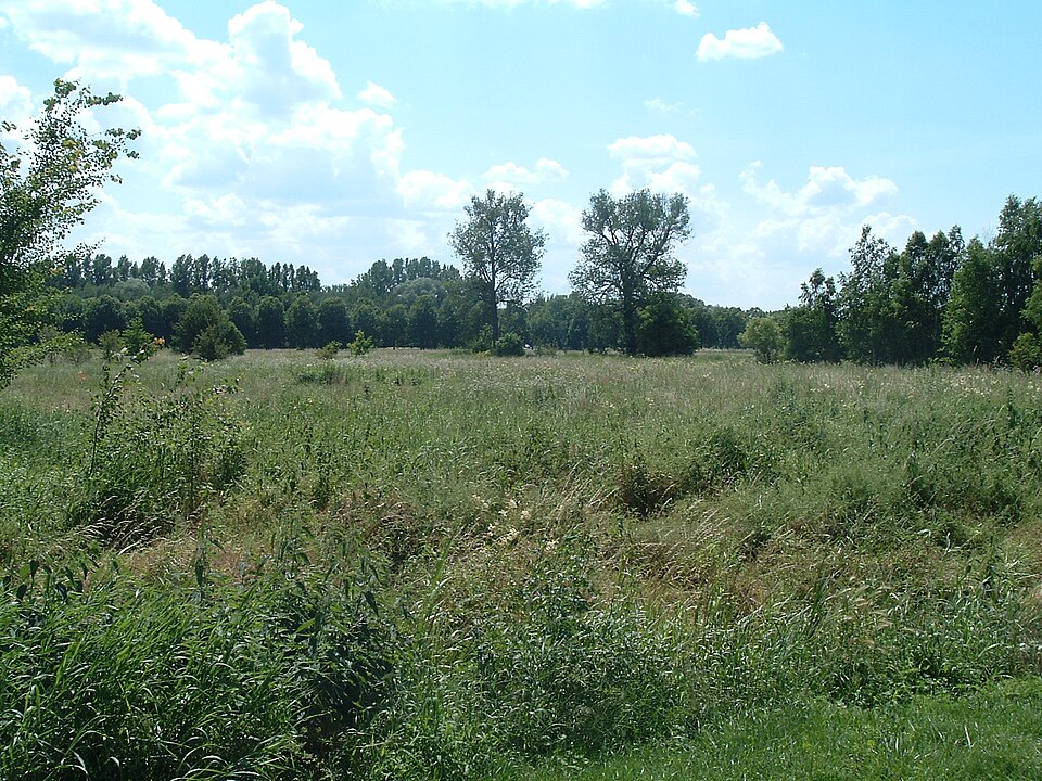 in Jüterbog
