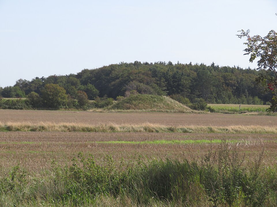 Föhr