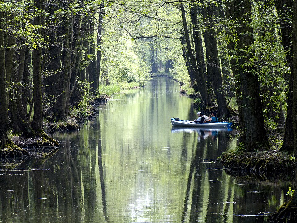 im Spreewald