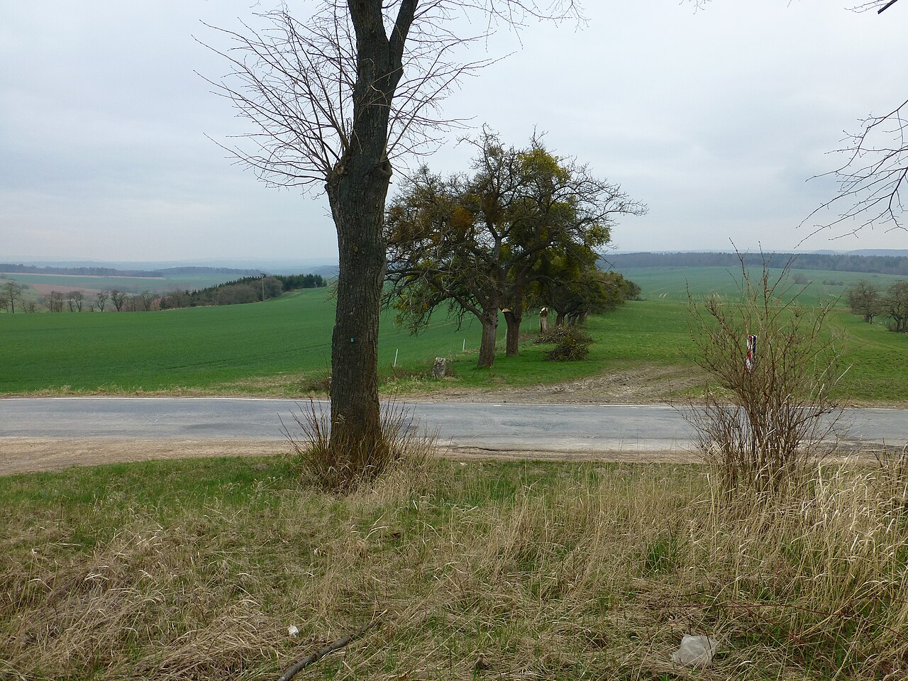 Rehungen