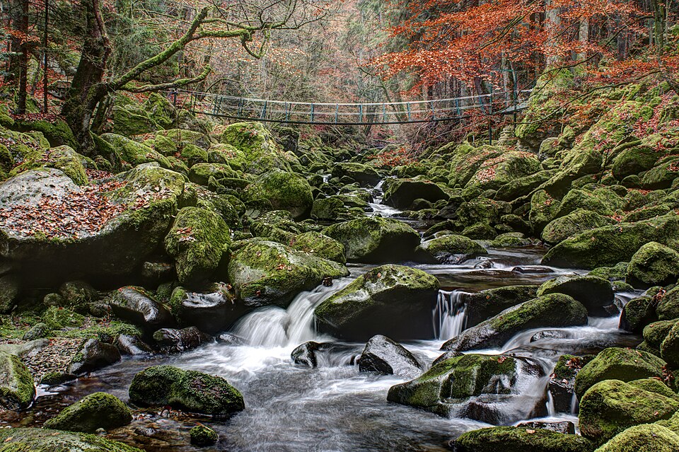 Bayerischer Wald
