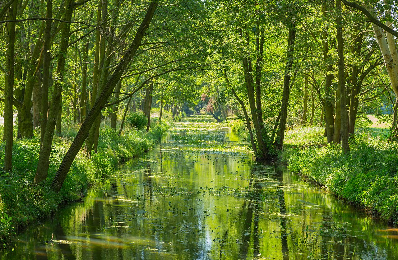Spreewald