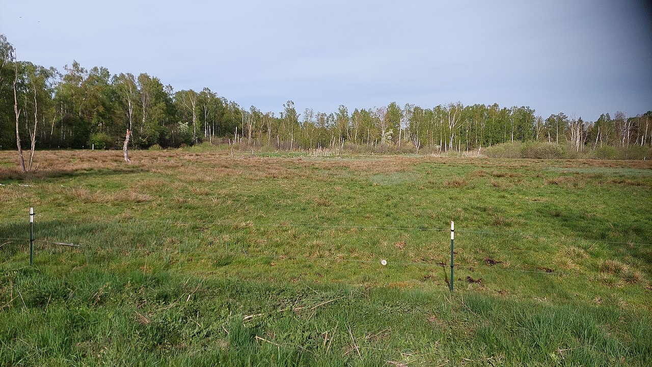 Fußbergmoos