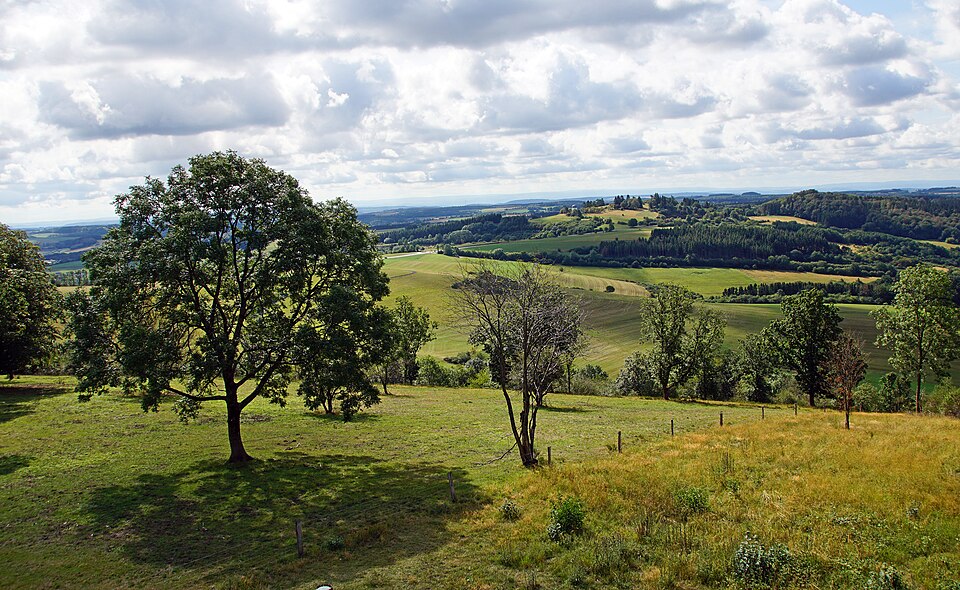in Vulkaneifel