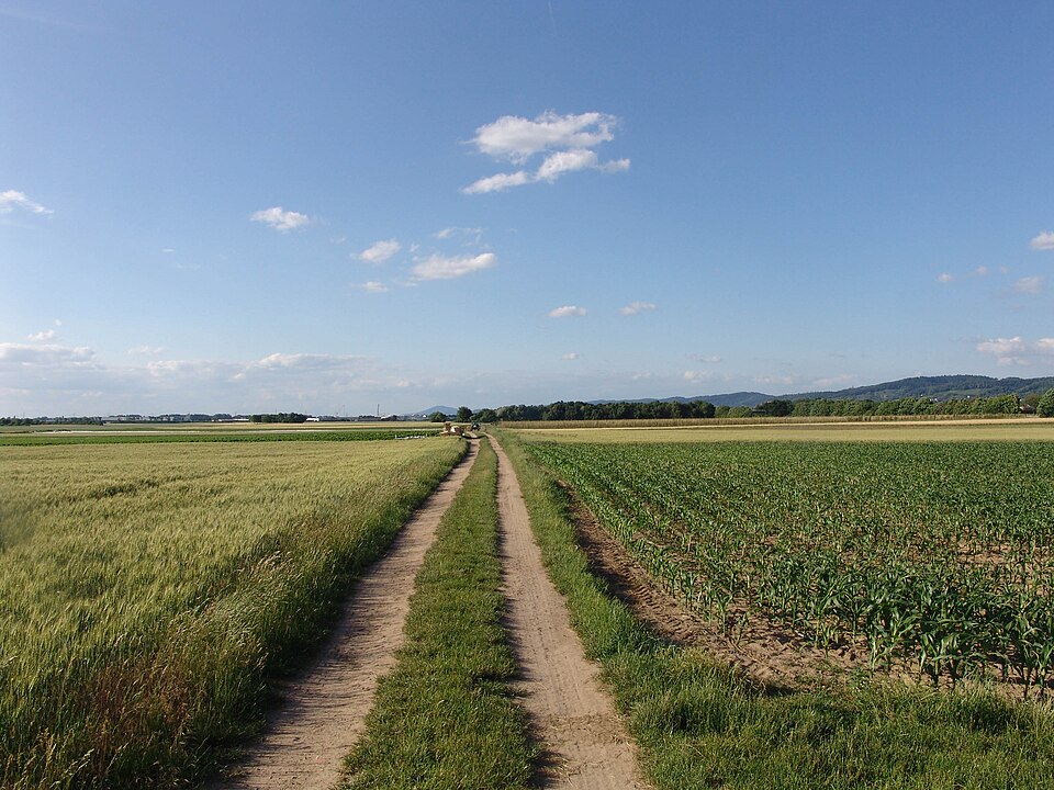 Fields in Ladenburg