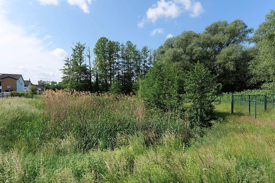 in Werder