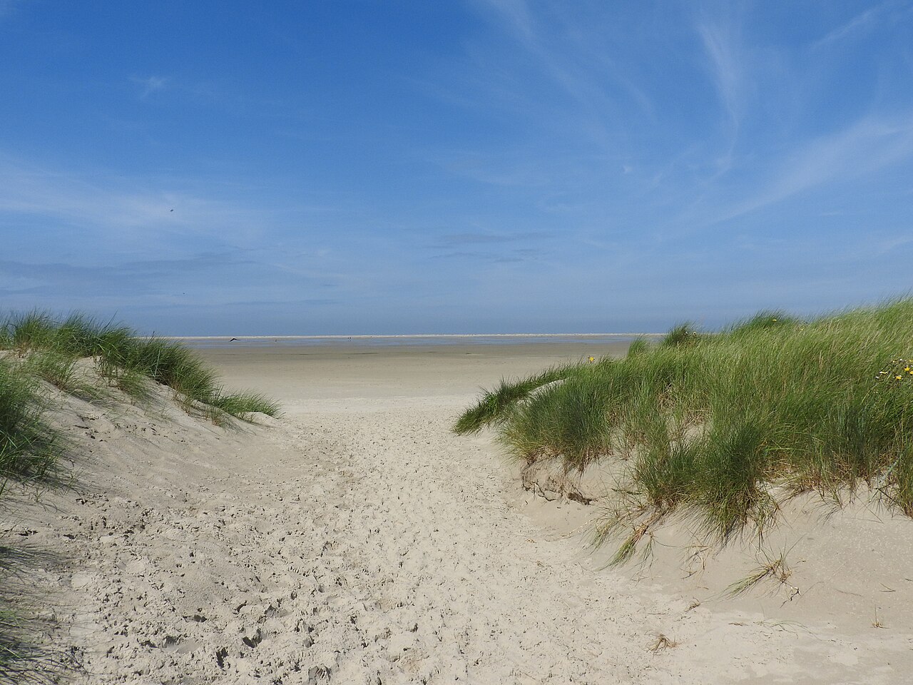 Borkum Dünen