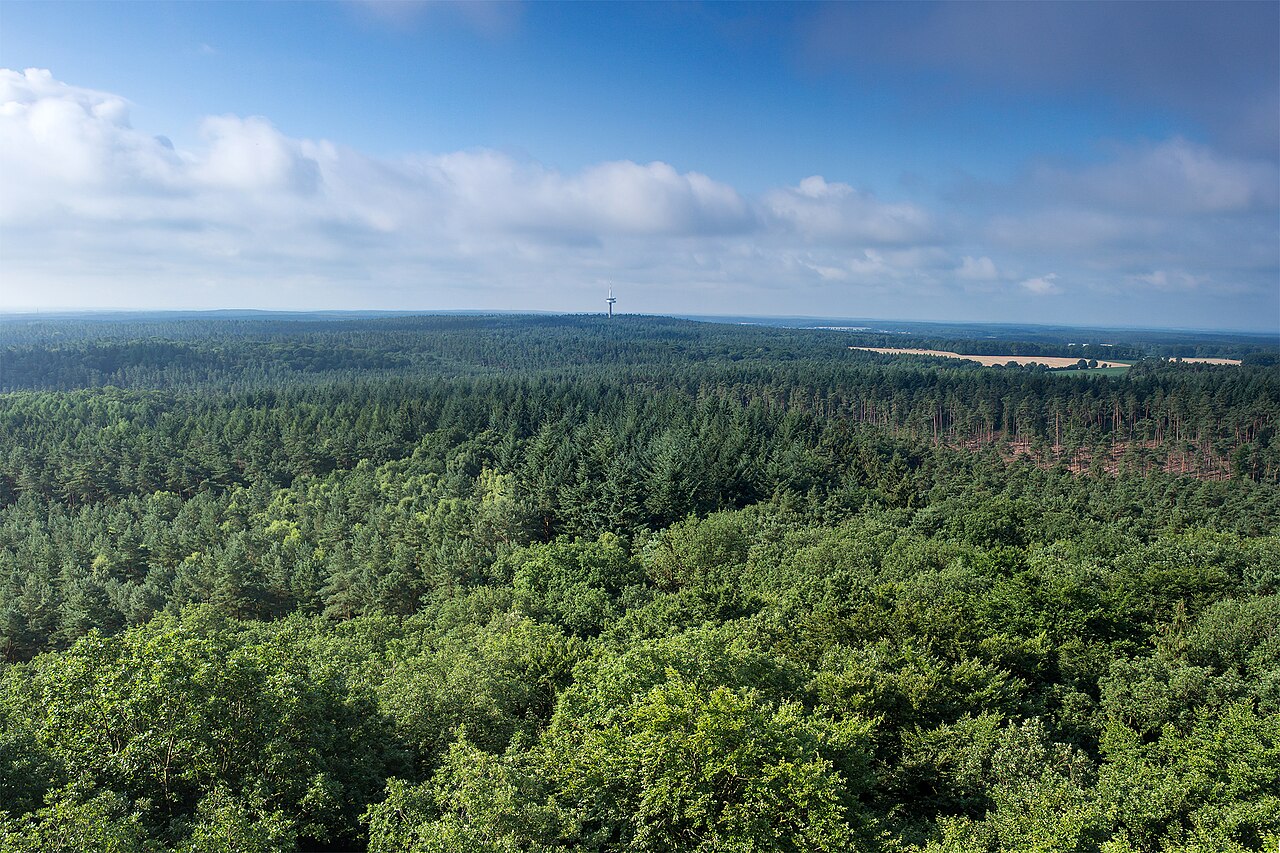 HoherMechtinS View