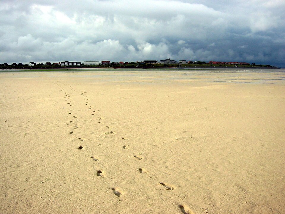 auf Amrum
