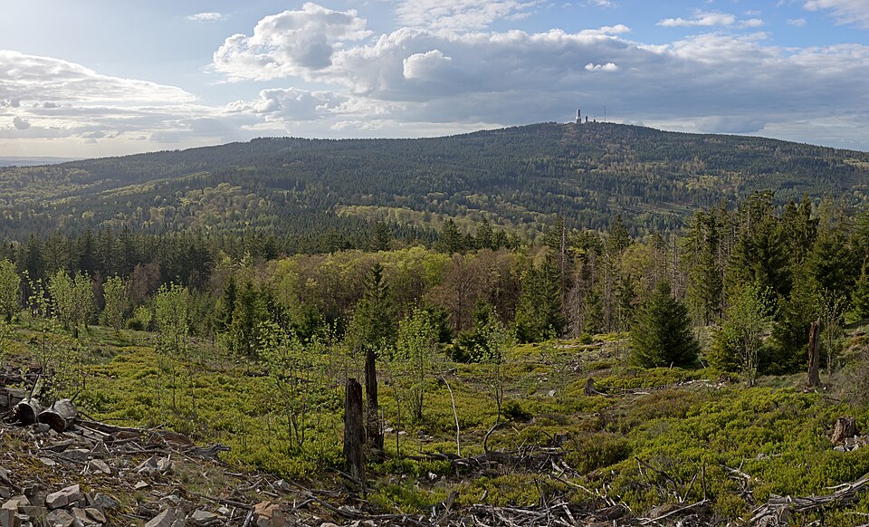 am Feldberg