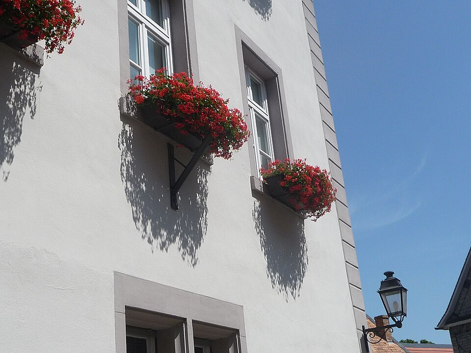 in Kirchheimbolanden