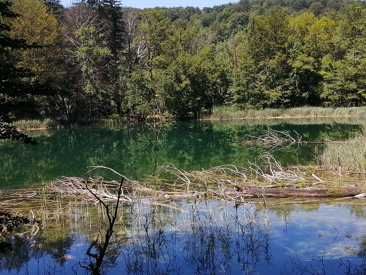 Batinovac Lake