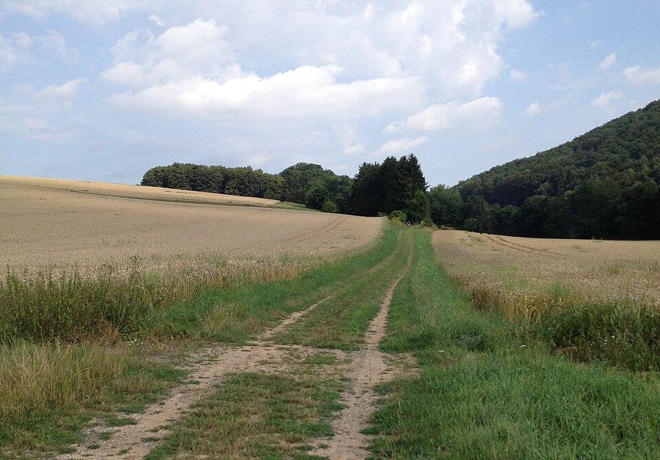in Fritzlar