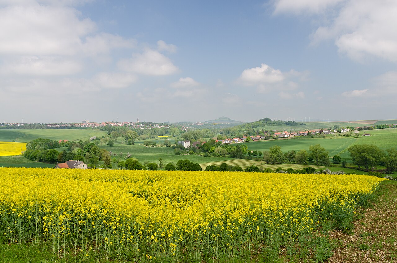 Warburg
