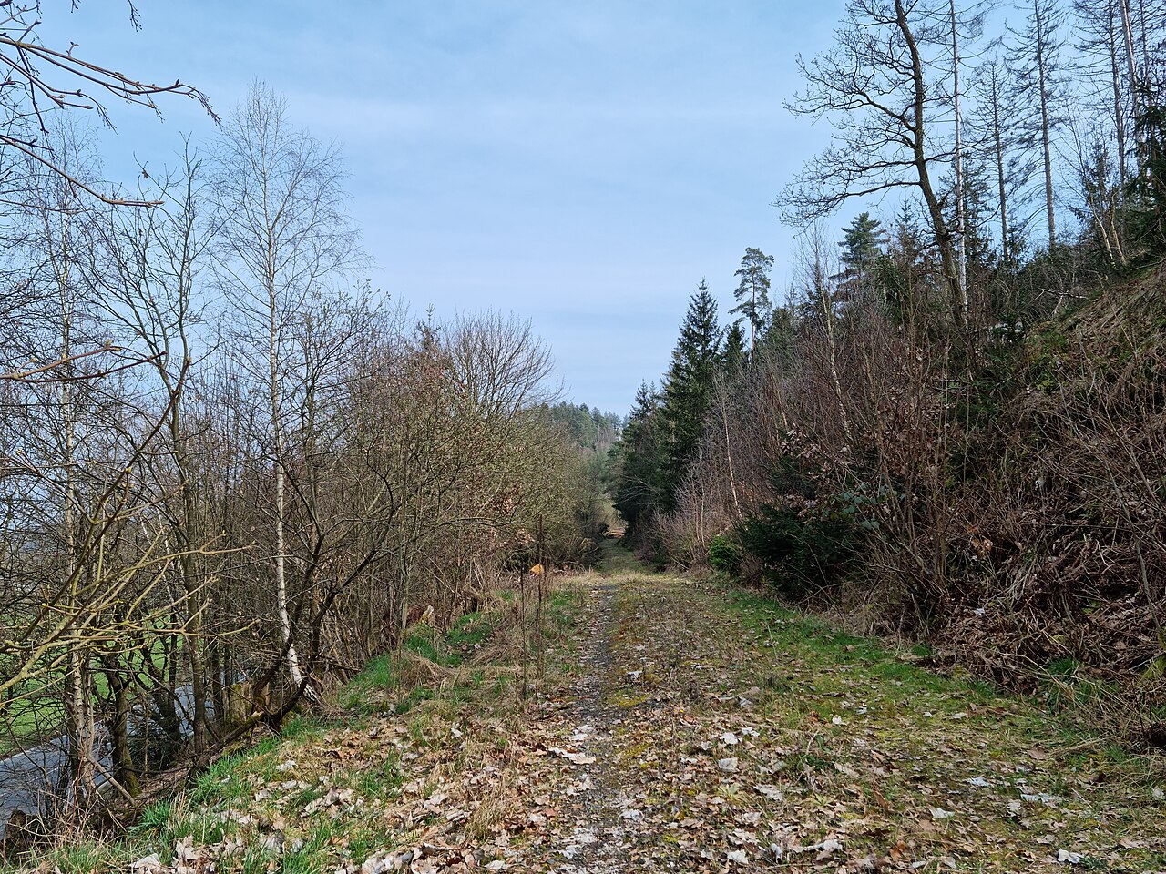 Frankenberg