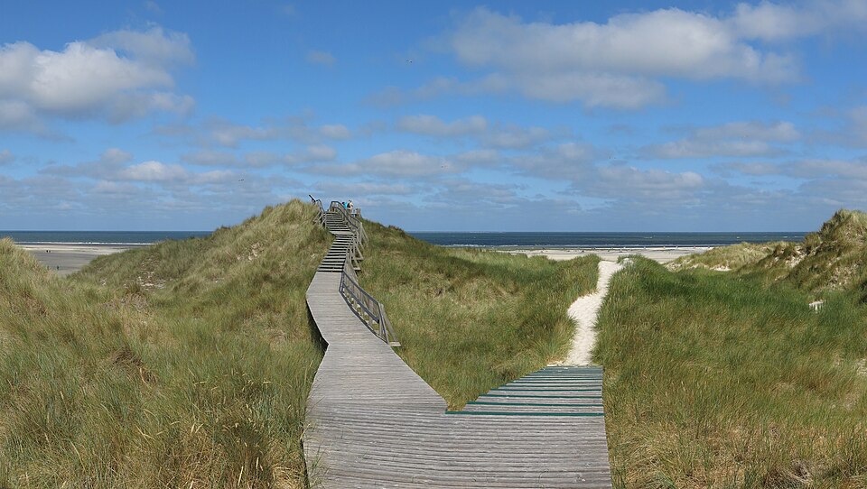 auf Amrum
