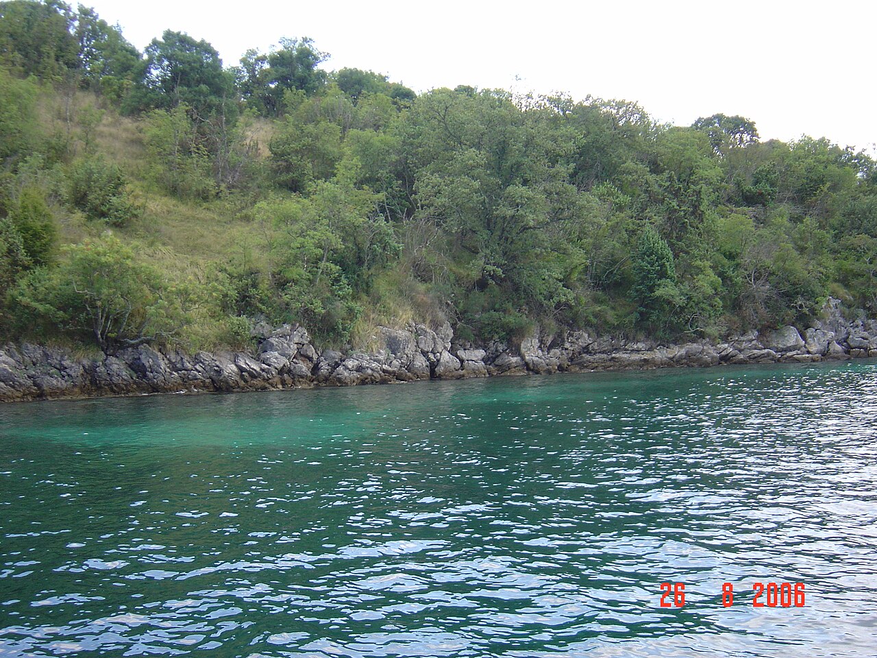 Mala jana