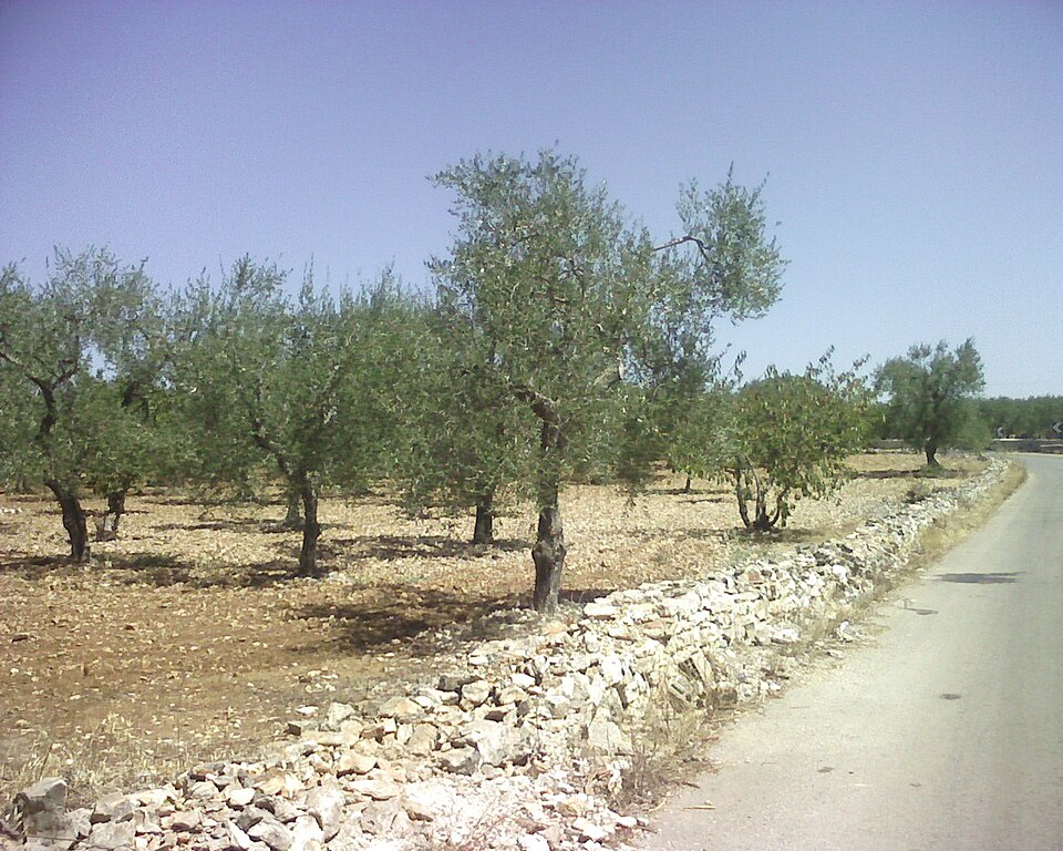 in Apulien