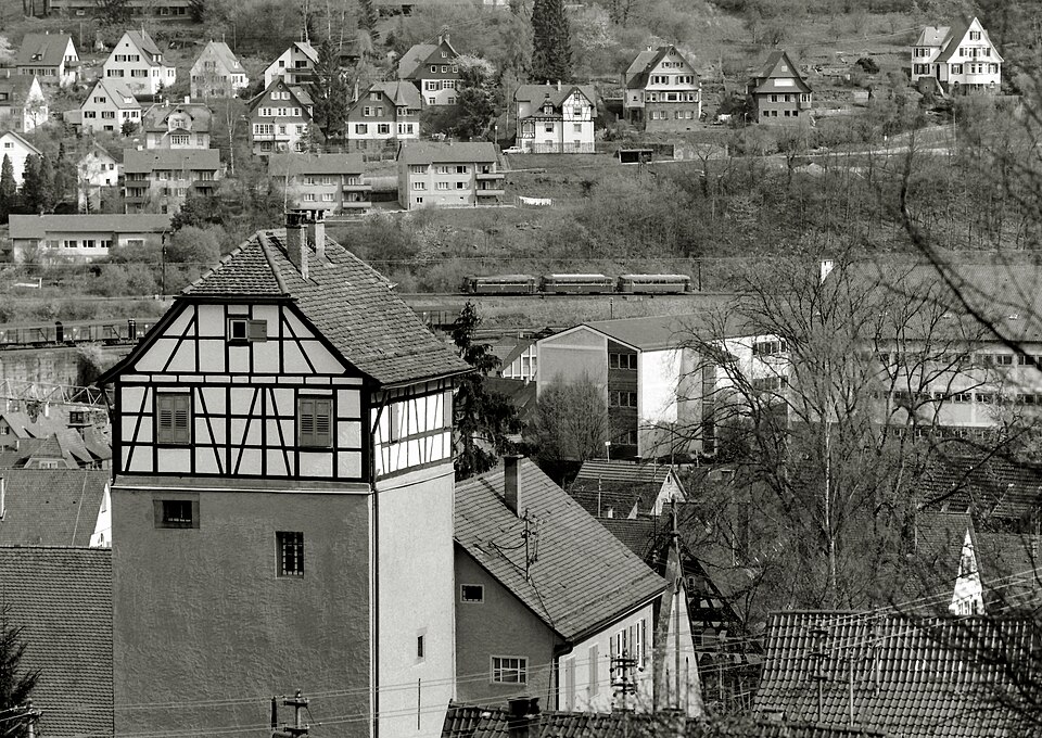 Calw
