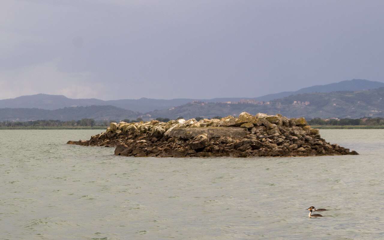Anatre al Lago Trasimeno