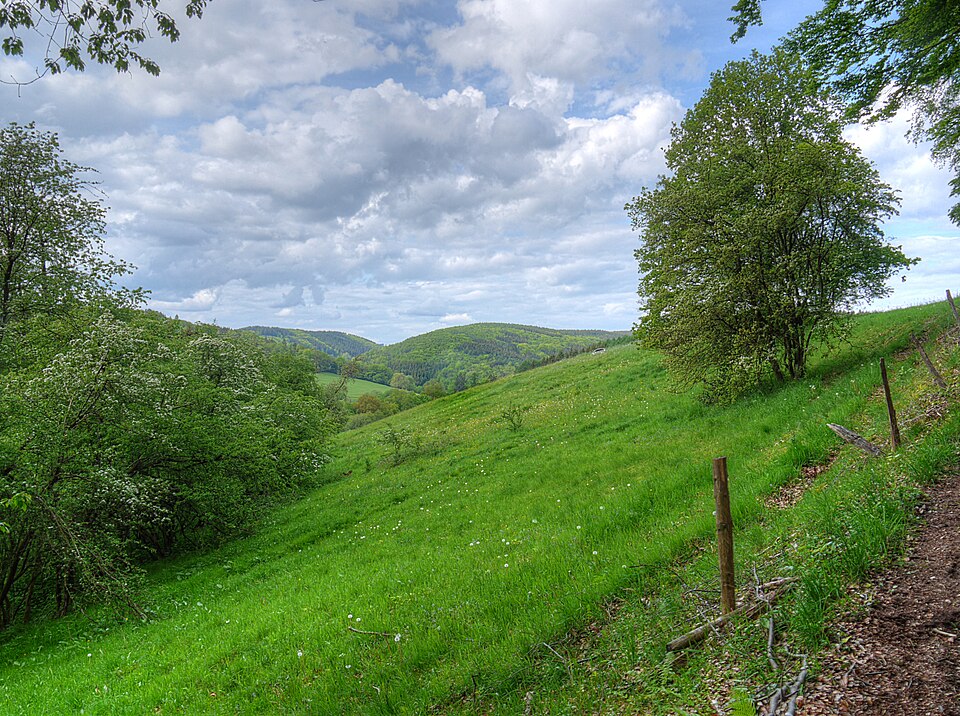 Muschlade Gummersbach