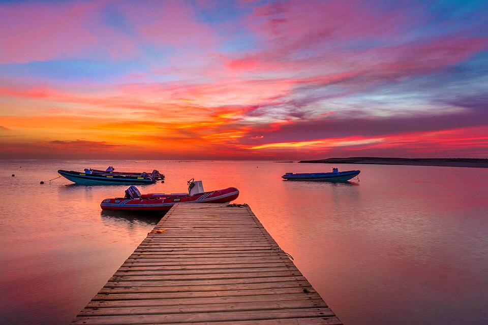 Dawn's Paradise