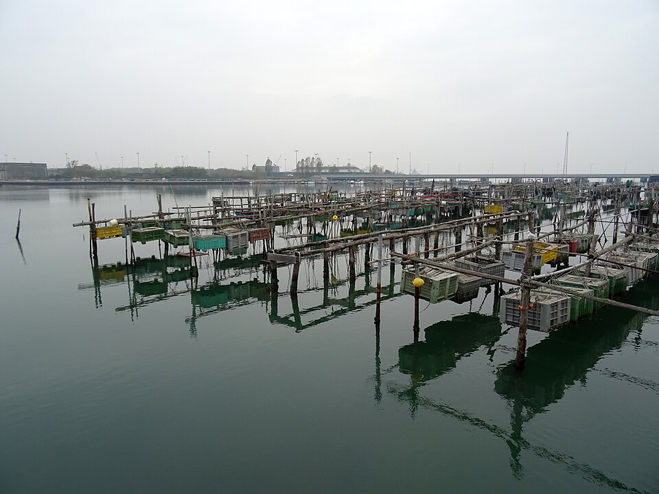 in Chioggia
