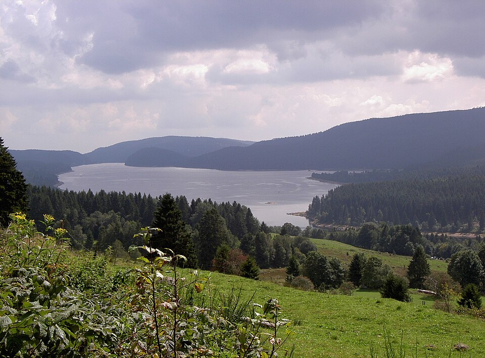 im Südschwarzwald