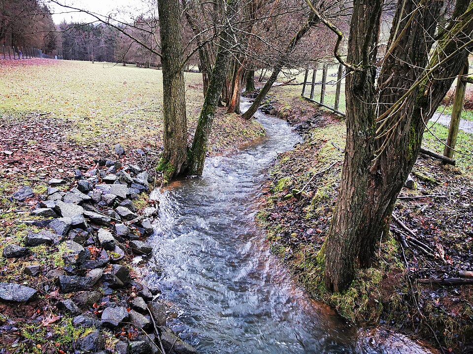 Kälberbach