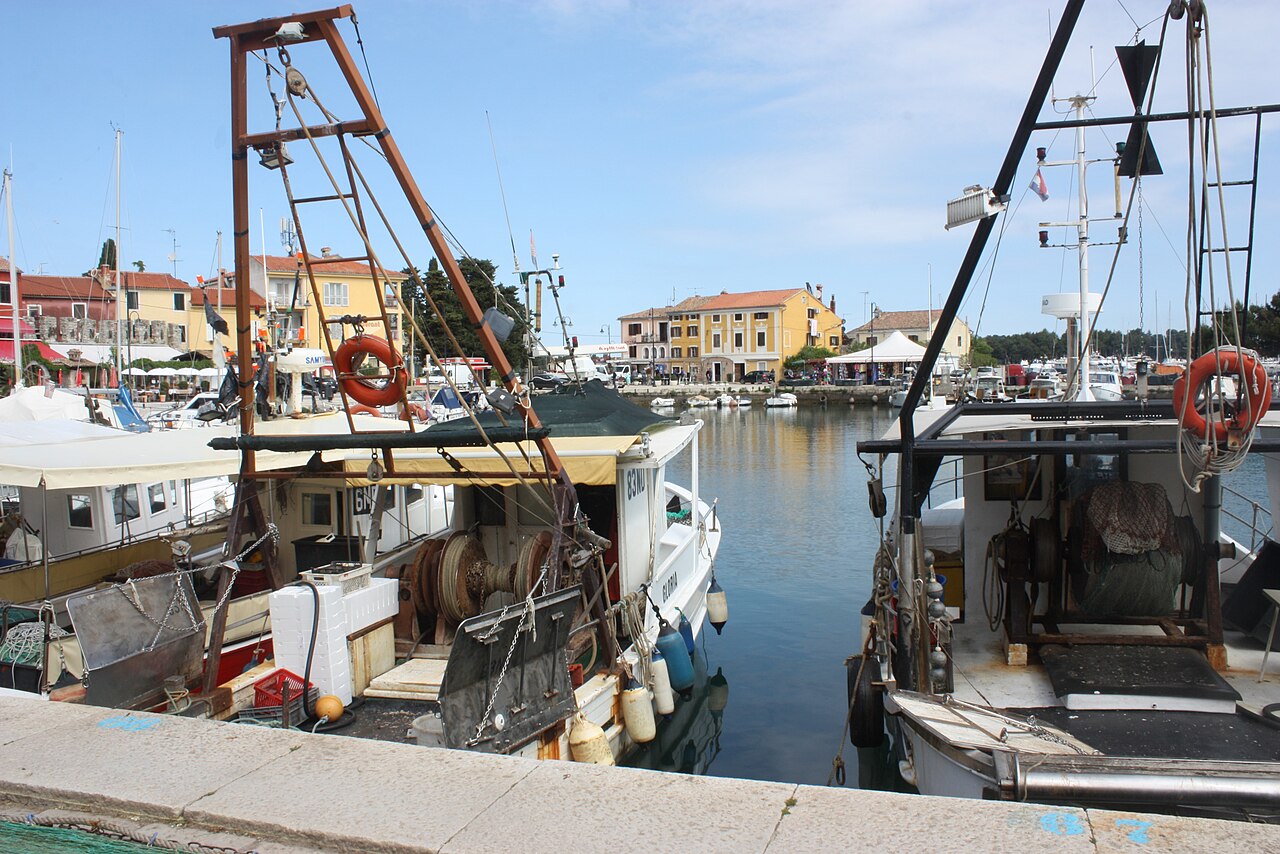 Novigrad der Hafen