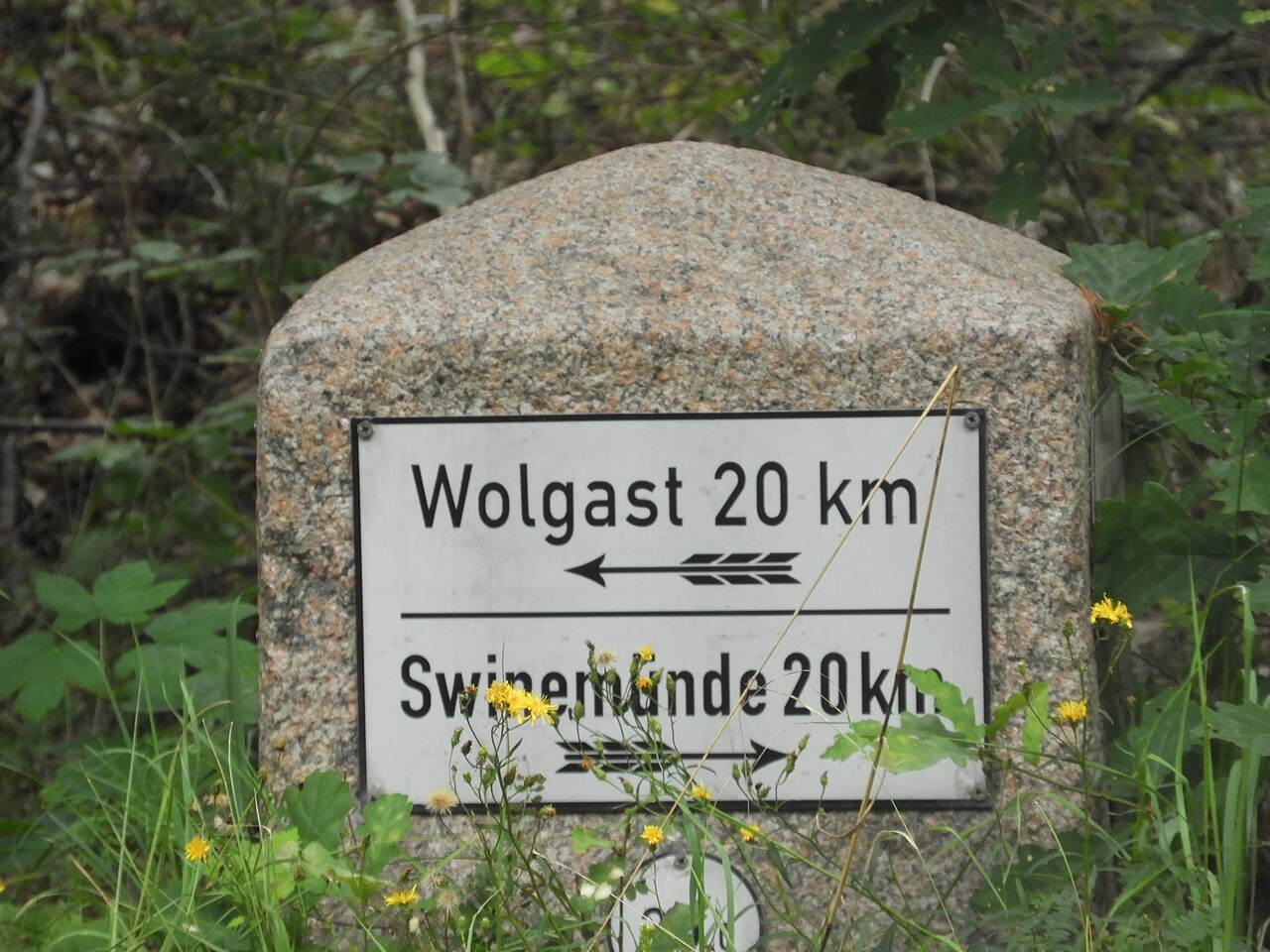 Inselmitte