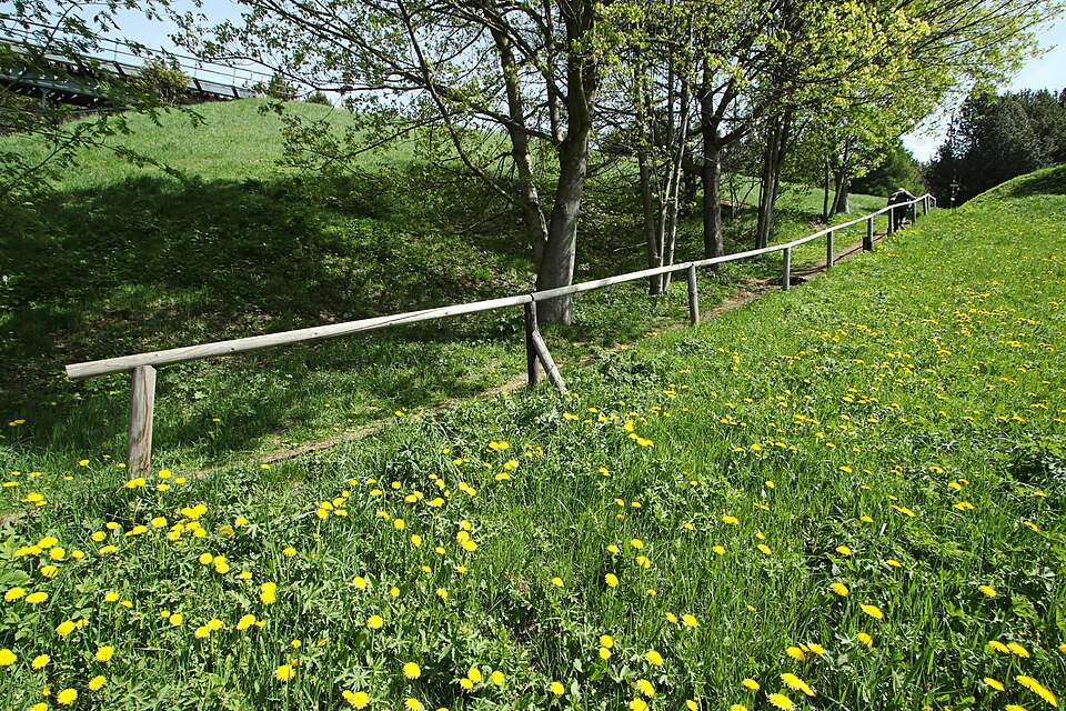 in Oberwiesenthal