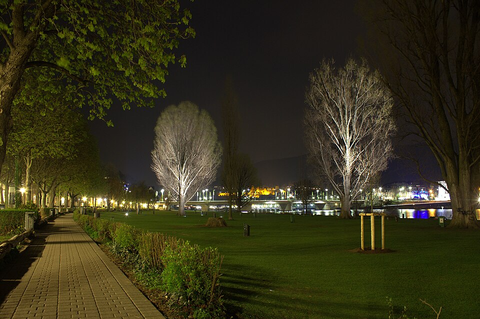 Neckarwiese