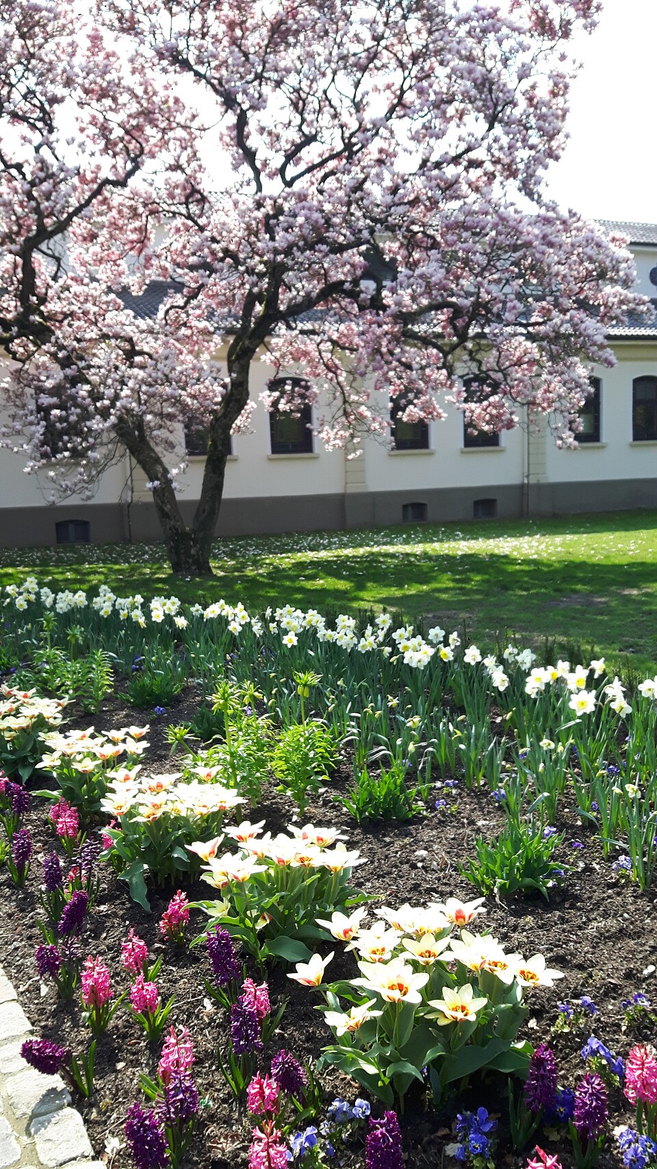 Sehr schönes blumen