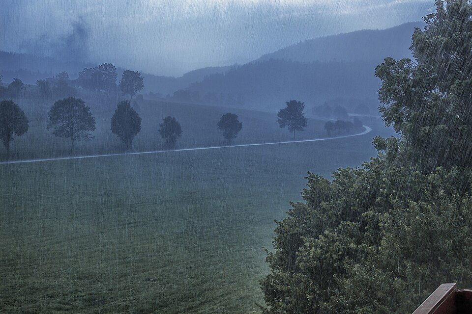 Heavy Rain